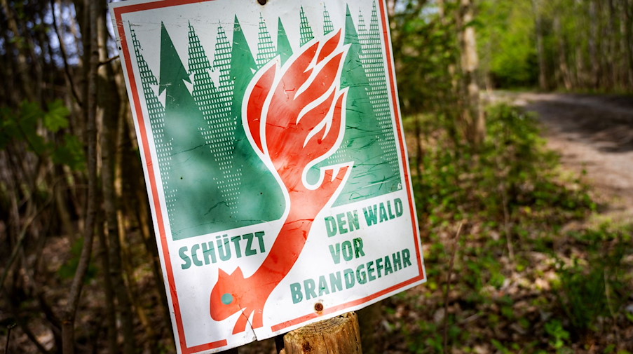 Ein Schild mit der Aufschrift «Schütz den Wald vor Brandgefahr» hängt in einem Wald an einem Waldweg. / Foto: Stefan Sauer/dpa/Symbolbild