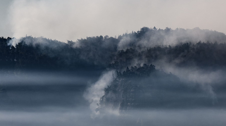 Rauchschwaden ziehen durch den Nationalpark Sächsische Schweiz. / Foto: Robert Michael/dpa/Symbolbild