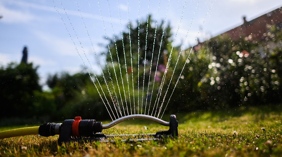 Ein Wassersprenger bewässert den Garten eines Reihenhauses. / Foto: Robert Michael/dpa/Symbolbild