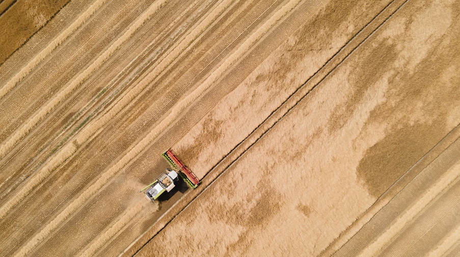 Ein Mähdrescher fährt über ein Gerstenfeld. / Foto: Sebastian Kahnert/dpa