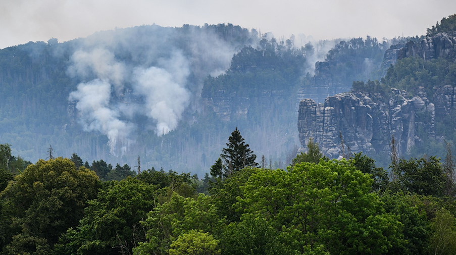 Der Wald brennt im Nationalpark Sächsische Schweiz. / Foto: Robert Michael/dpa