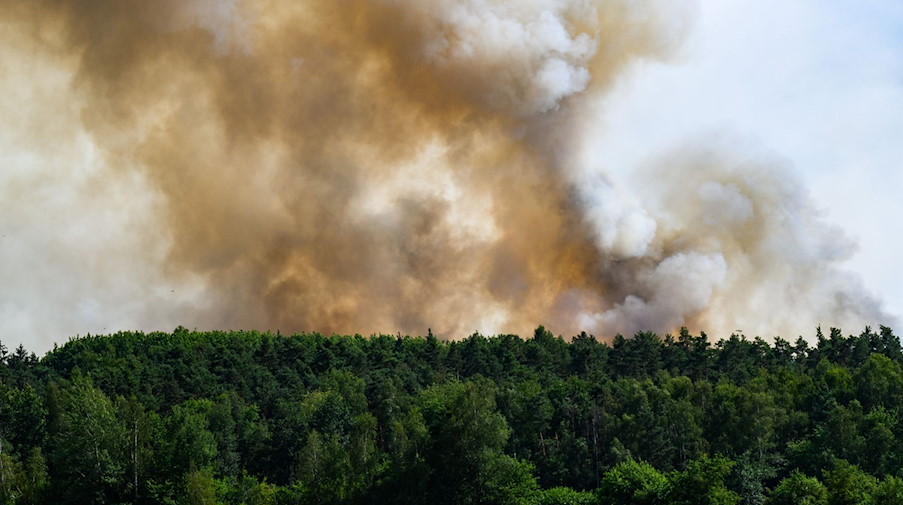 Rauch steigt aus einem Wald der Königsbrücker Heide bei Radeburg. / Foto: Robert Michael/dpa/Archivbild