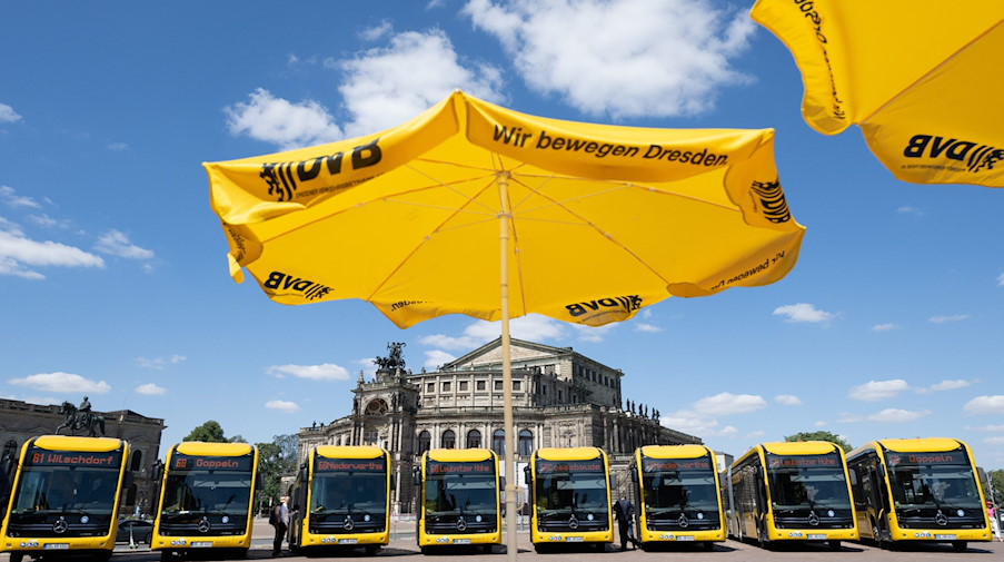 Elektrobusse der Dresdner Verkehrsbetriebe (DVB) stehen auf dem Theaterplatz vor der Semperoper. / Foto: Sebastian Kahnert/dpa