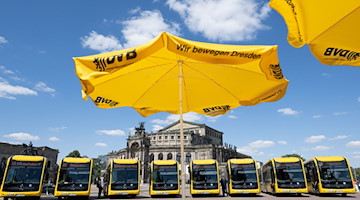 Elektrobusse der Dresdner Verkehrsbetriebe (DVB) stehen auf dem Theaterplatz vor der Semperoper. / Foto: Sebastian Kahnert/dpa