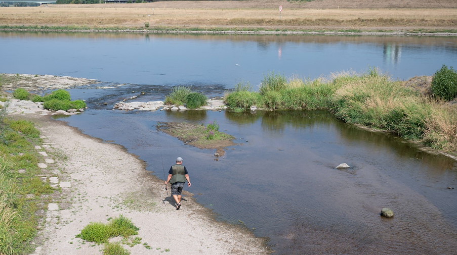 Ein Angler geht im Flussbett der Weißeritz vor der Mündung in die Elbe entlang. / Foto: Sebastian Kahnert/dpa/Archivbild