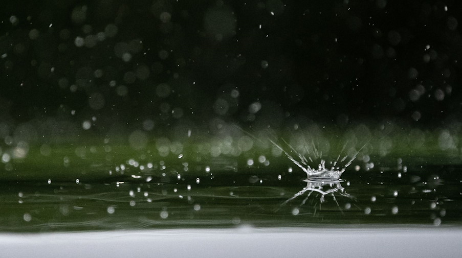 Regentropfen fallen auf ein Autodach. / Foto: Sebastian Gollnow/dpa/Symbolbild