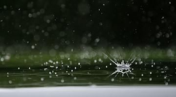 Regentropfen fallen auf ein Autodach. / Foto: Sebastian Gollnow/dpa/Symbolbild