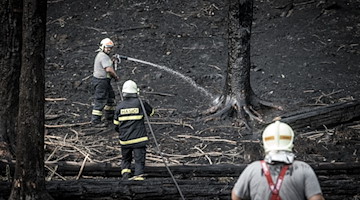 Einsatzkräfte der Feuerwehr im Einsatz gegen einen Waldbrand im Nationalpark. / Foto: Hájek Vojtìch/CTK/dpa