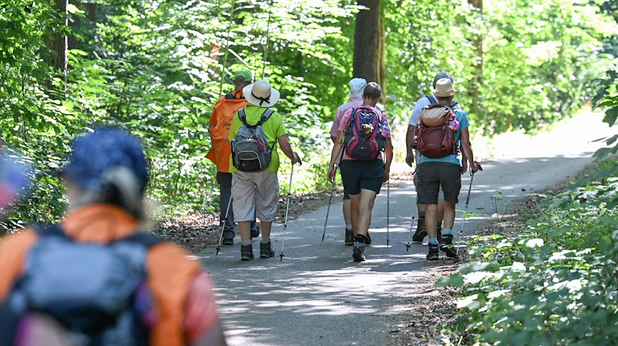 Eine Wandergruppe läuft auf einem Waldweg. / Foto: Bernd Weißbrod/dpa/Symbolbild