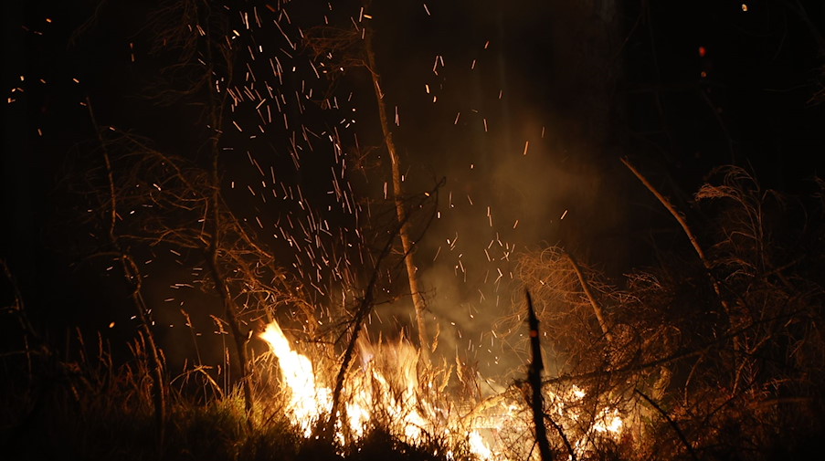 Flammen lodern in der Nacht im Nationalpark Harz bei Schierke. / Foto: Matthias Bein/dpa/Archivbild
