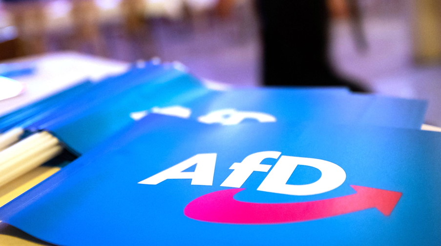 Fähnchen mit dem Logo der AfD liegen auf einem Tisch. / Foto: Daniel Karmann/dpa/Symbolbild