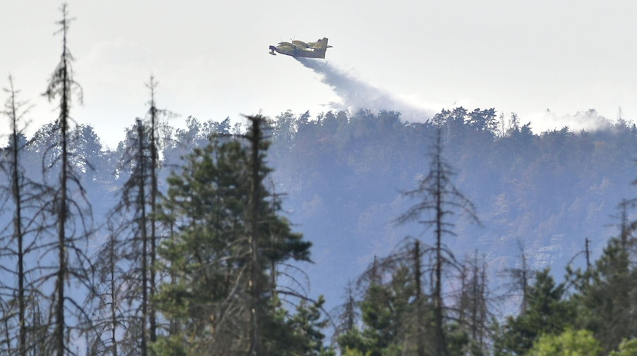 Eines der beiden Canadair-Löschflugzeuge aus Italien bekämpft den Waldbrand im Nationalpark Böhmische Schweiz. / Foto: Hájek Ondøej/CTK/dpa/Archivbild