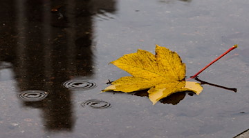 Ein herbstlich gefärbtes Blatt schwimmt bei regnerischem Wetter auf einer Pfütze. / Foto: Ulrich Perrey/dpa/Symbolbild