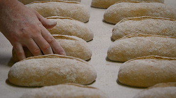Brot-Teiglinge liegen in einer Backstube nebeneinander. / Foto: Soeren Stache/dpa/dpa-Zentralbild/Symbolbild