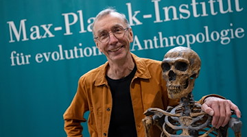 Der schwedische Evolutionsforscher Svante Pääbo steht im Max-Planck-Institut für evolutionäre Anthropologie in Leipzig an der Nachbildung eines Neandertaler-Skeletts. / Foto: Hendrik Schmidt/dpa