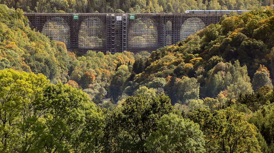 Ein Zug der Mitteldeutschen Regiobahn passiert die eingerüstete Elstertalbrücke. / Foto: Jan Woitas/dpa/ZB/Archivbild