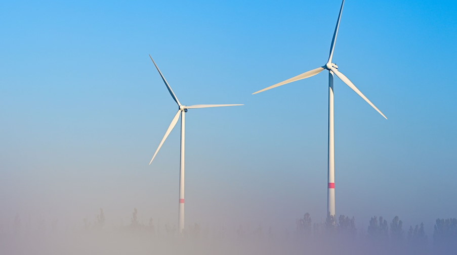Windenergieanlagen stehen im Morgennebel. / Foto: Patrick Pleul/dpa-Zentralbild/dpa/Symbolbild