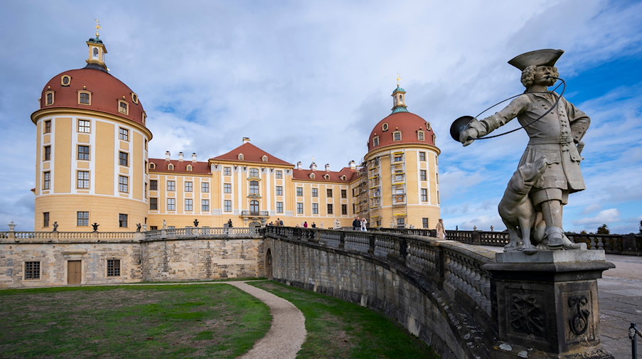 Blick auf Schloss Moritzburg nördlich von Dresden. / Foto: Matthias Rietschel/dpa/ZB/Archivbild