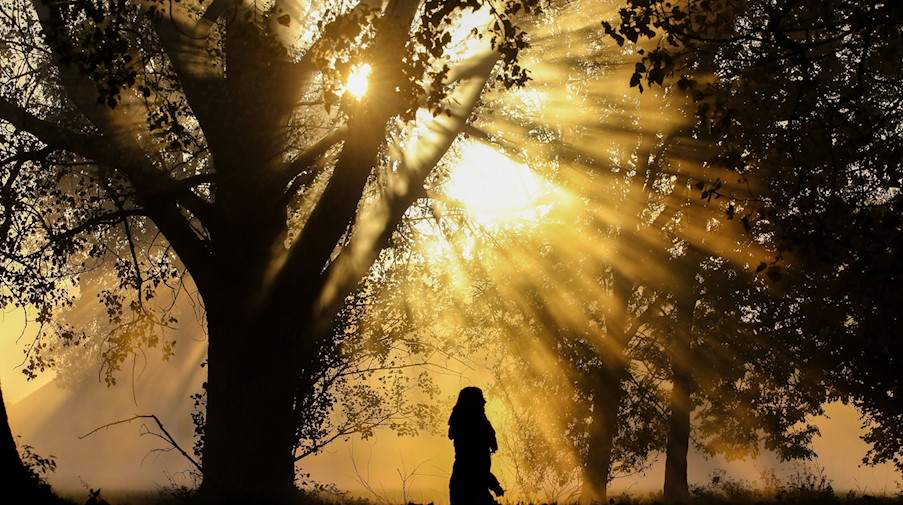 Eine Frau läuft im herbstlichen Morgennebel an Bäumen vorbei. / Foto: Thomas Warnack/dpa/Symbolbild