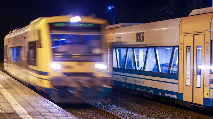 Zwei Regionalbahnen treffen sich im Bahnhof. / Foto: Jens Büttner/dpa/Symbolbild
