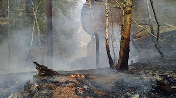 Ein Waldbrand qualmt im Nationalpark Sächsische Schweiz nahe der Bastei. / Foto: Daniel Förster/dpa-Zentralbild/dpa/Archivbild