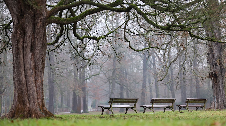 Drei leere Parkbänke stehen bei trübem Wetter in einem Park. / Foto: Jan Woitas/dpa-Zentralbild/dpa/Symbolbild