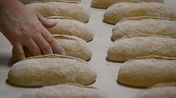 Brot-Teiglinge liegen in einer Backstube kurz vor dem Backen nebeneinander. / Foto: Soeren Stache/dpa/dpa-Zentralbild/Symbolbild