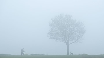 Spaziergänger gehen an einem Baum im Nebel vorbei. / Foto: Silas Stein/dpa/Symbolbild