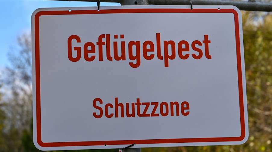 Ein Schild mit der Aufschrift «Geflügelpest Schutzzone». / Foto: Patrick Pleul/dpa-Zentralbild/dpa/Symbolbild