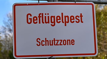 Ein Schild mit der Aufschrift «Geflügelpest Schutzzone». / Foto: Patrick Pleul/dpa-Zentralbild/dpa/Symbolbild