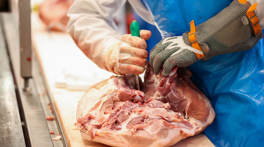 Ein Mitarbeiter zerlegt Schweinekeulen in einem Schlachtbetrieb. / Foto: Jan Woitas/dpa-Zentralbild/dpa/Symbolbild