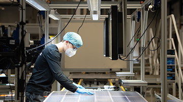 Ein Mitarbeiter steht bei der Qualitätskontrolle an einer Produktionslinie für Solarmodule. / Foto: Sebastian Kahnert/dpa-Zentralbild/dpa/Archivbild