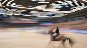 Ein Reiter nimmt an der Qualifikation zum Weltcup teil. / Foto: Sebastian Willnow/dpa/Symbolbild