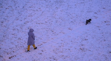 Eine Frau geht am Morgen mit einem Hund auf den verschneiten Elbwiesen spazieren. / Foto: Robert Michael/dpa