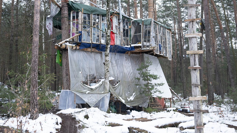 Baumhäuser der Initiative «Heibo bleibt» in einem besetzten Waldgebiet in der Laußnitzer Heide. / Foto: Sebastian Kahnert/dpa