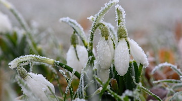 Kälte und Frost in Sachsen, Sachsen-Anhalt und Thüringen