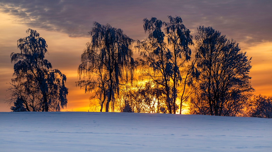 Hinter den Schattenrissen der Bäume und einem Schneefeld geht die Sonne unter. / Foto: Bernd März/dpa/Archivbild