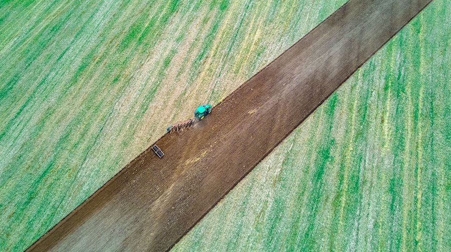 Ein Traktor zieht Pflug und Egge über ein abgeerntetes Feld. / Foto: Jens Büttner/dpa-Zentralbild/dpa/Symbolbild