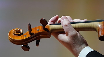 Ein Musiker spielt Geige. / Foto: Marcus Brandt/dpa/Symbolbild