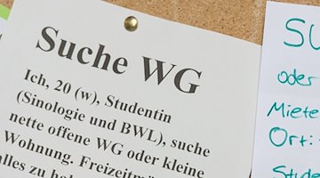 Der Zettel einer WG-Zimmer-Suchenden hängt an einem Schwarzen Brett. / Foto: Patrick Seeger/dpa/Symbolbild