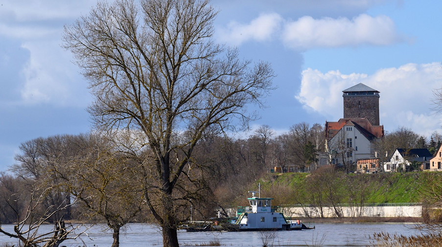 Die Fähre Rogätz setzt hinter Bäumen die im Wasser stehen über die Elbe. / Foto: Klaus-Dietmar Gabbert/dpa/Archivbild