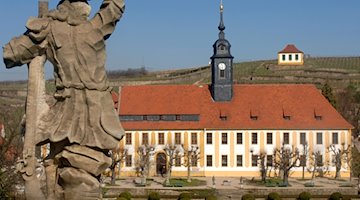 Die Sonne scheint auf das 1728 erbaute Schloss samt dem Weinberghaus. / Foto: Matthias Hiekel/dpa-Zentralbild/dpa