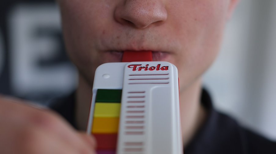 A triola is played at the Seydel musical instrument company / Photo: Sebastian Willnow/dpa/Archivbild