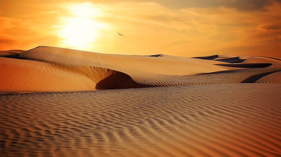 Symbolbild Wüste / pixabay Pezibear