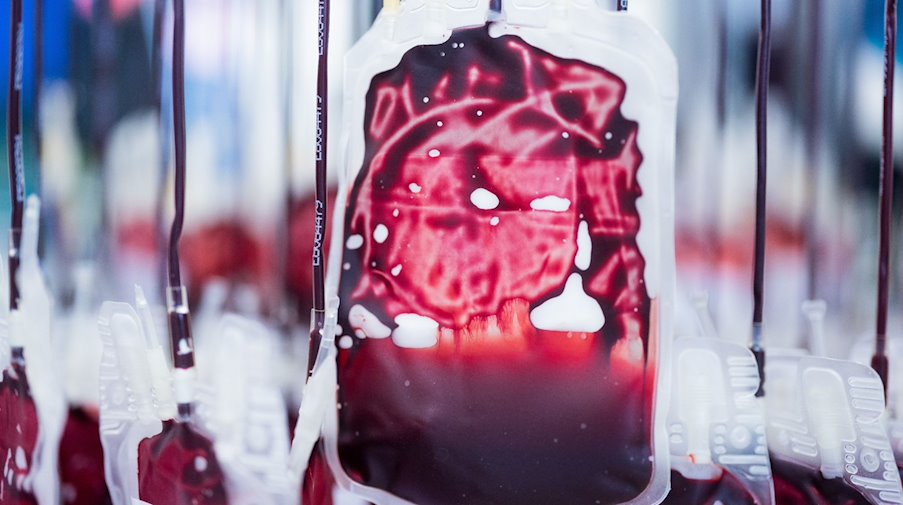 Blutkonserven hängen im Labor eines Blutspendedienstes für Krankenhäuser und Praxen. / Foto: Rolf Vennenbernd/dpa/Symbolbild