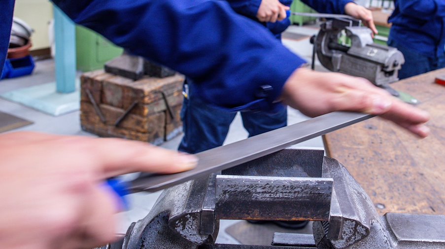 Lehrlinge arbeiten mit der Metallfeile an Schraubstöcken in einer Lehrwerkstatt. / Foto: Jens Büttner/dpa/Symbolbild