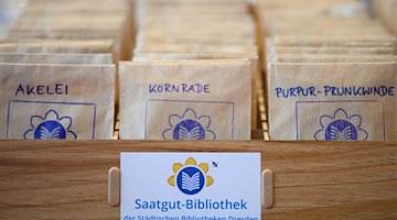 Verschiedene Saatgut-Tüten liegen anlässlich der Eröffnung der Saatgut-Bibliothek in einem Regal. / Foto: Sebastian Kahnert/dpa-Zentralbild/dpa/Archivbild