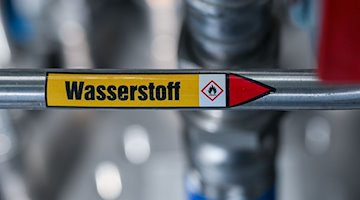 „Wasserstoff“ steht auf einer Leitung. / Foto: Uwe Zucchi/dpa/Archivbild