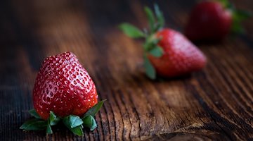Erdbeeren Spanien gesund