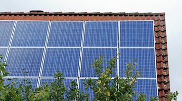 Ein Dach ist mit Photovoltaik-Modulen bestückt. / Foto: Caroline Seidel/dpa/Archivbild